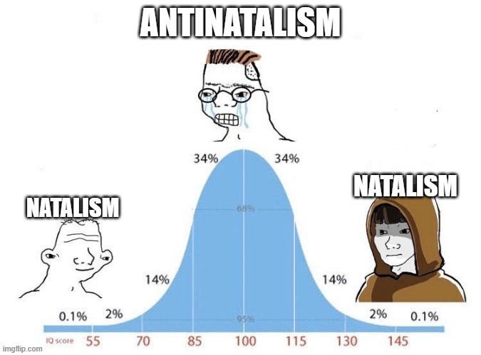 INTEGRATING ANTINATALISM | ANTINATALISM; NATALISM; NATALISM | image tagged in bell curve | made w/ Imgflip meme maker
