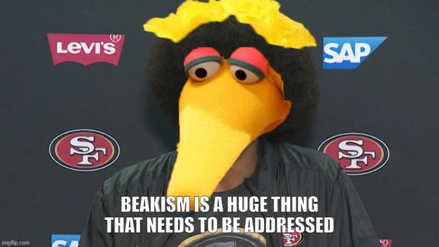 Beakism | BEAKISM IS A HUGE THING THAT NEEDS TO BE ADDRESSED | image tagged in football | made w/ Imgflip meme maker