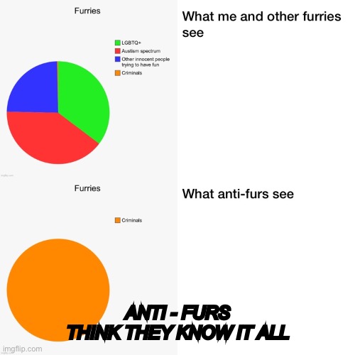 Anti-furs: duhdoyyyy ? | ANTI - FURS THINK THEY KNOW IT ALL | image tagged in anti furry,furry | made w/ Imgflip meme maker