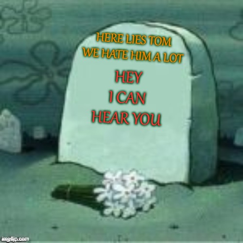 Here Lies X | HERE LIES TOM WE HATE HIM A LOT; HEY I CAN HEAR YOU | image tagged in here lies x | made w/ Imgflip meme maker