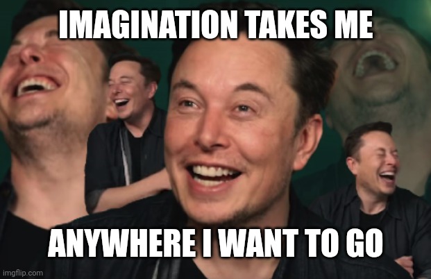 Elon Musk Laughing | IMAGINATION TAKES ME ANYWHERE I WANT TO GO | image tagged in elon musk laughing | made w/ Imgflip meme maker