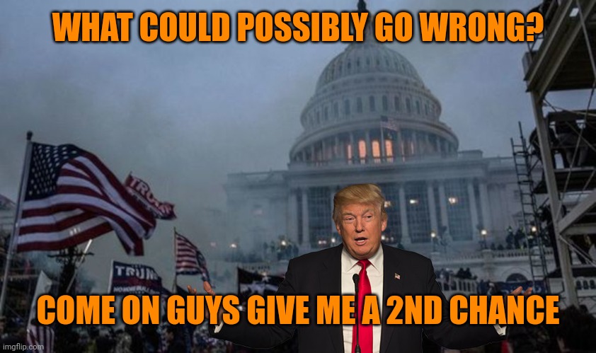 misconstrued coup | WHAT COULD POSSIBLY GO WRONG? COME ON GUYS GIVE ME A 2ND CHANCE | image tagged in misconstrued coup | made w/ Imgflip meme maker