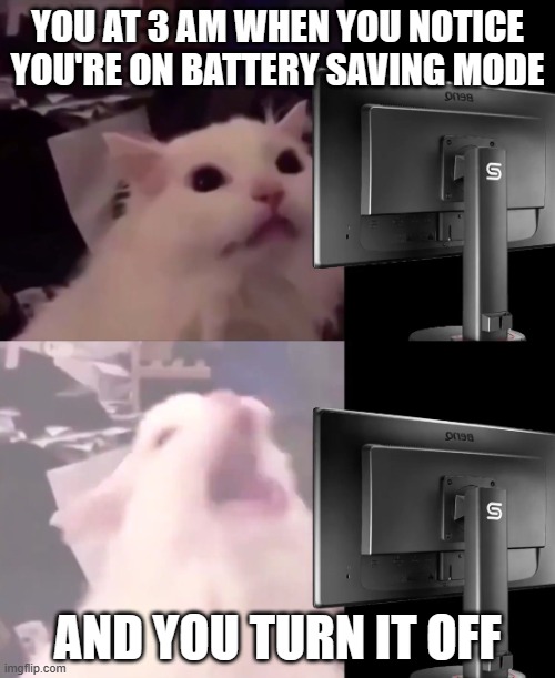 Cat Lightmode | YOU AT 3 AM WHEN YOU NOTICE YOU'RE ON BATTERY SAVING MODE; AND YOU TURN IT OFF | image tagged in cat lightmode | made w/ Imgflip meme maker
