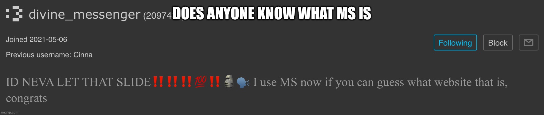 DOES ANYONE KNOW WHAT MS IS | made w/ Imgflip meme maker