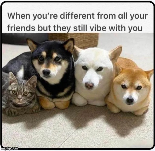 me with the boys | image tagged in cute,wholesome,me and the boys,memes,wholesome content,repost | made w/ Imgflip meme maker