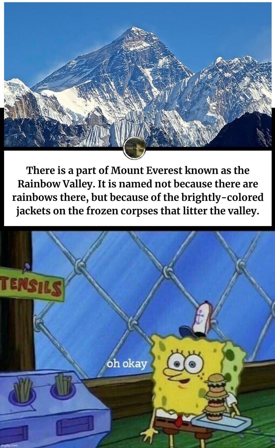 Don’t simp for mountains. Not even once. #psa #dontbeasimp | image tagged in mount everest rainbow valley,oh okay,psa,public service announcement,mount everest,dont be a simp | made w/ Imgflip meme maker