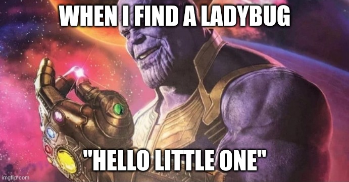 Thanos Snap | WHEN I FIND A LADYBUG; "HELLO LITTLE ONE" | image tagged in thanos snap | made w/ Imgflip meme maker