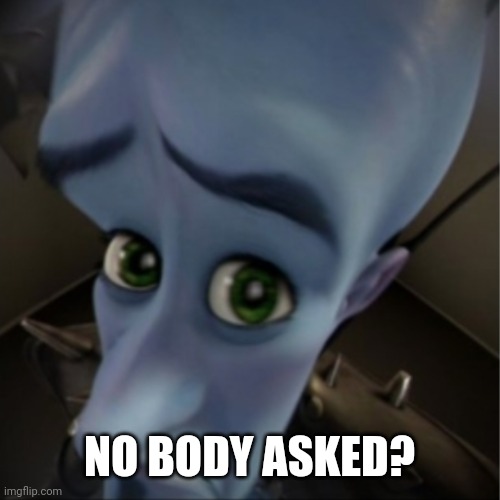 When your friend says something dumb | NO BODY ASKED? | image tagged in megamind peeking | made w/ Imgflip meme maker