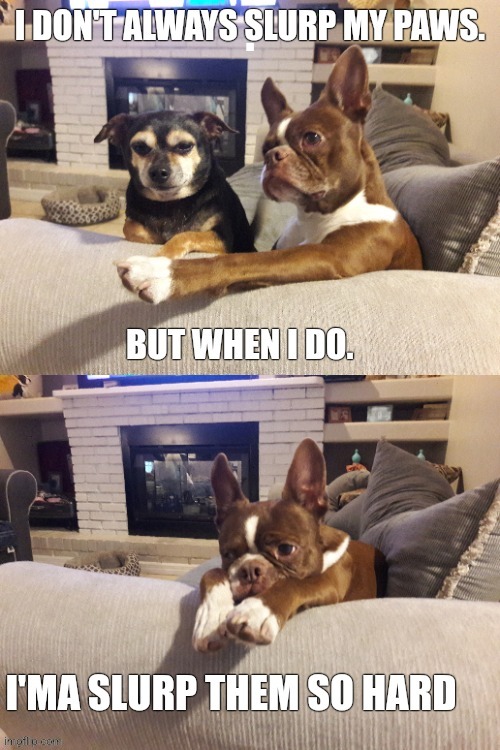 Kermit and Gonzo | . | image tagged in dogs pets funny,doge,pet humor,dog memes,funny dog memes | made w/ Imgflip meme maker