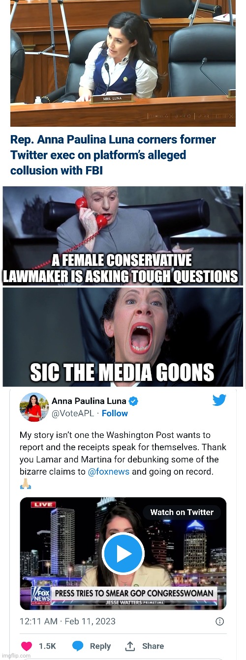Media Goons | A FEMALE CONSERVATIVE LAWMAKER IS ASKING TOUGH QUESTIONS; SIC THE MEDIA GOONS | image tagged in dr evil and frau yelling,msm lies,stupid liberals,media goons | made w/ Imgflip meme maker