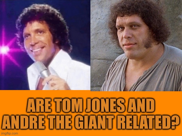 Conspiracy | ARE TOM JONES AND ANDRE THE GIANT RELATED? | image tagged in funny | made w/ Imgflip meme maker