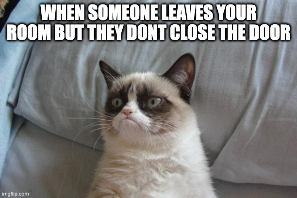 . | WHEN SOMEONE LEAVES YOUR ROOM BUT THEY DONT CLOSE THE DOOR | image tagged in memes,grumpy cat bed,grumpy cat | made w/ Imgflip meme maker