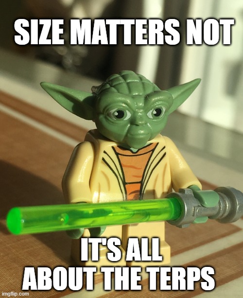 Big Saber Problems | SIZE MATTERS NOT; IT'S ALL ABOUT THE TERPS | image tagged in big sabre problems | made w/ Imgflip meme maker