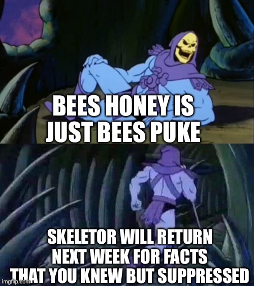 Skeletor disturbing facts | BEES HONEY IS JUST BEES PUKE; SKELETOR WILL RETURN NEXT WEEK FOR FACTS THAT YOU KNEW BUT SUPPRESSED | image tagged in skeletor disturbing facts | made w/ Imgflip meme maker