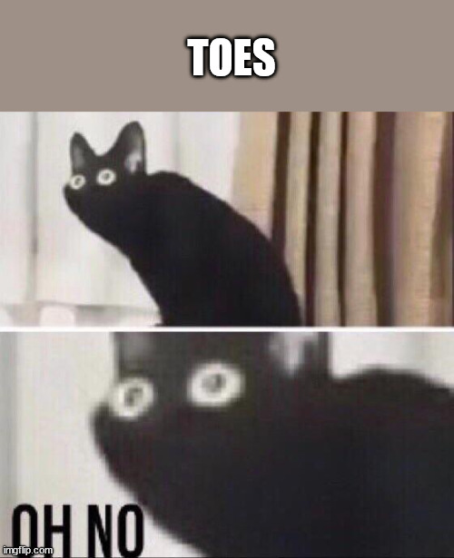 Oh no cat | TOES | image tagged in oh no cat | made w/ Imgflip meme maker