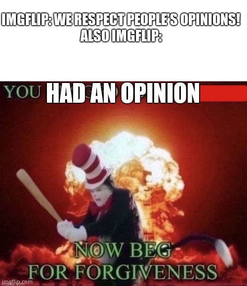I was muted because of this | IMGFLIP: WE RESPECT PEOPLE'S OPINIONS!
ALSO IMGFLIP:; HAD AN OPINION | image tagged in blank white template,beg for forgiveness | made w/ Imgflip meme maker