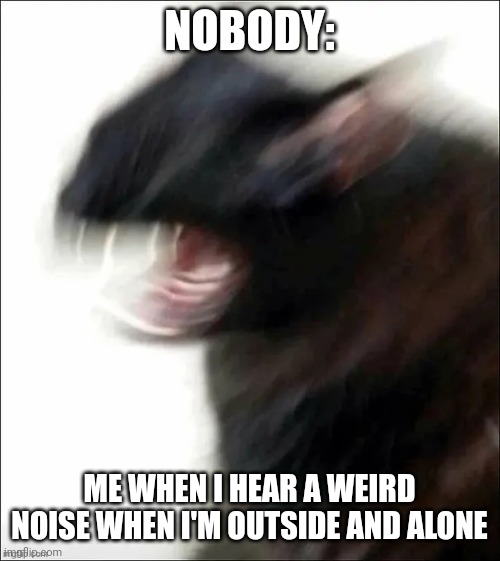 :l | NOBODY:; ME WHEN I HEAR A WEIRD NOISE WHEN I'M OUTSIDE AND ALONE | image tagged in yeet | made w/ Imgflip meme maker