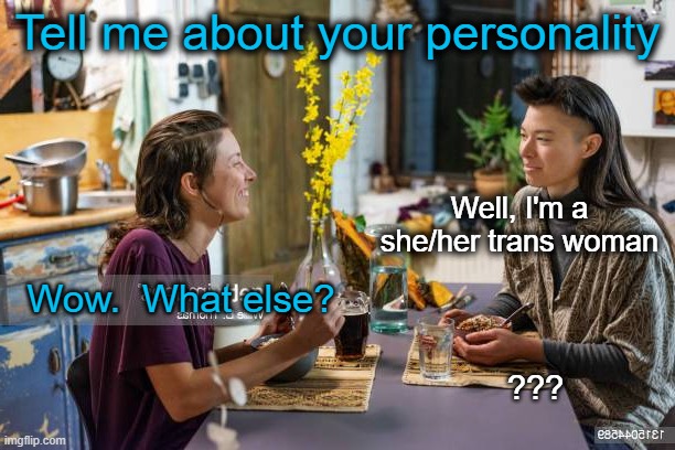 That's it.  That's the whole thing. | Tell me about your personality; Well, I'm a she/her trans woman; Wow.  What else? ??? | made w/ Imgflip meme maker