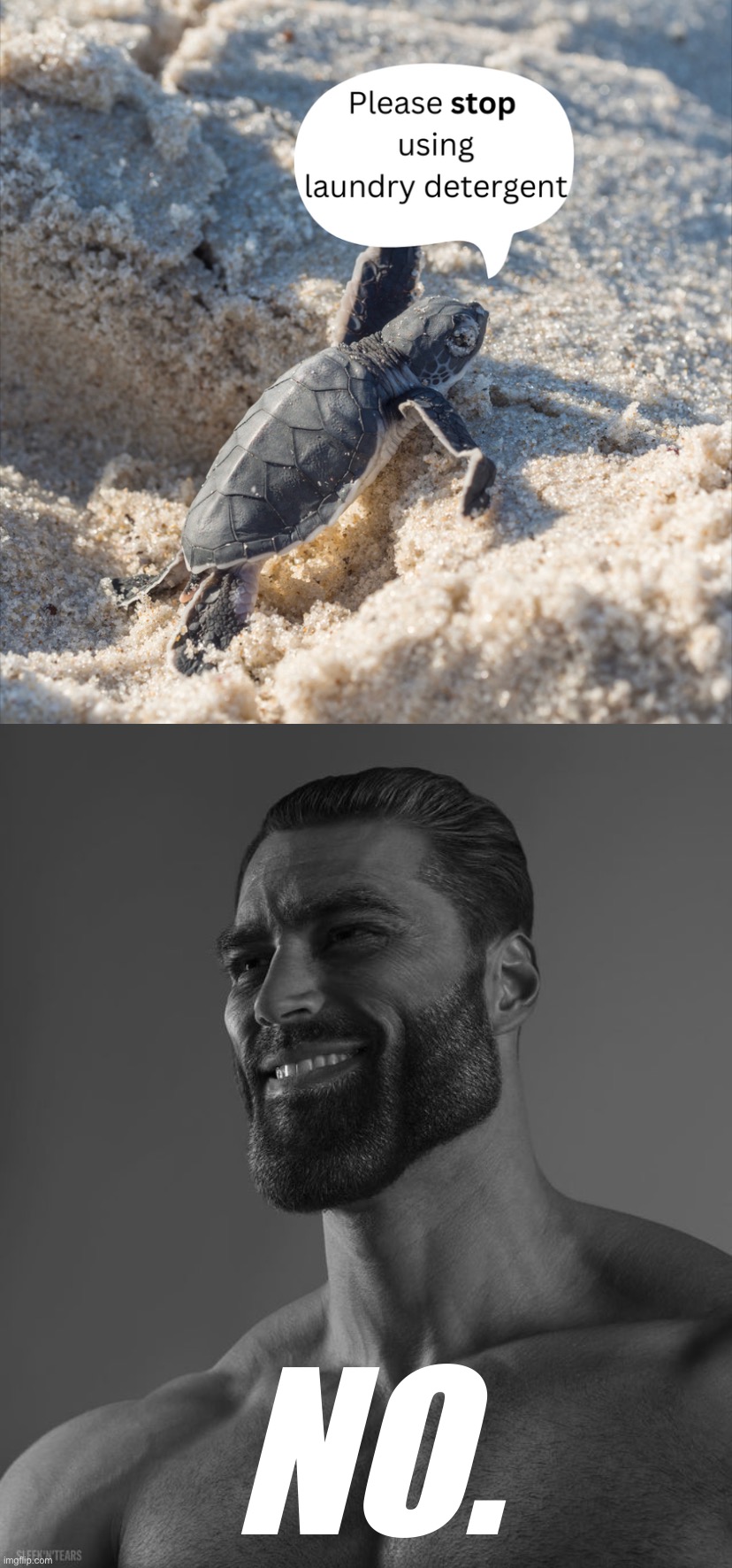 Why should I listen to a turtle giving advice on how to do laundry? Especially a baby turtle? | NO. | image tagged in please stop using laundry detergent,giga chad | made w/ Imgflip meme maker