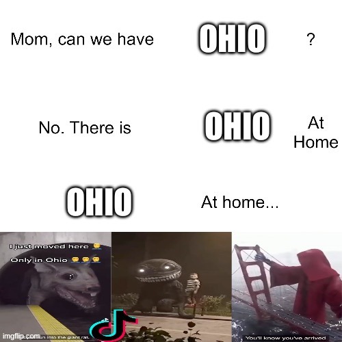 Ohio at home | image tagged in mom can we have | made w/ Imgflip meme maker