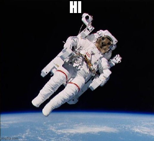 Astronaught | HI | image tagged in astronaught | made w/ Imgflip meme maker
