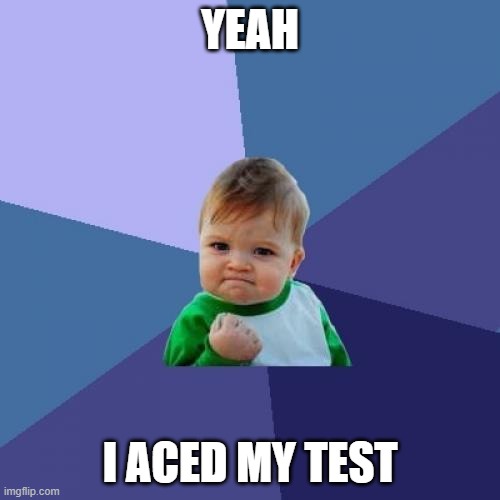 Success Kid Meme | YEAH; I ACED MY TEST | image tagged in memes,success kid | made w/ Imgflip meme maker