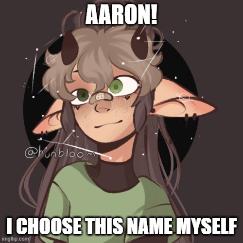 AARON! I CHOOSE THIS NAME MYSELF | made w/ Imgflip meme maker