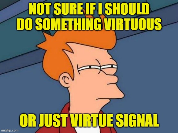 Futurama Fry | NOT SURE IF I SHOULD DO SOMETHING VIRTUOUS; OR JUST VIRTUE SIGNAL | image tagged in memes,futurama fry,virtue signal | made w/ Imgflip meme maker