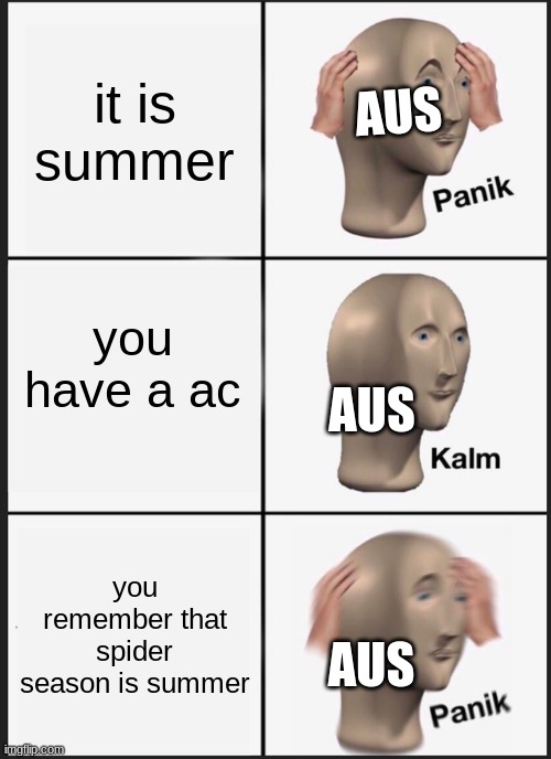 Panik Kalm Panik Meme | it is summer; AUS; you have a ac; AUS; you remember that spider season is summer; AUS | image tagged in memes,panik kalm panik,australians,spider | made w/ Imgflip meme maker