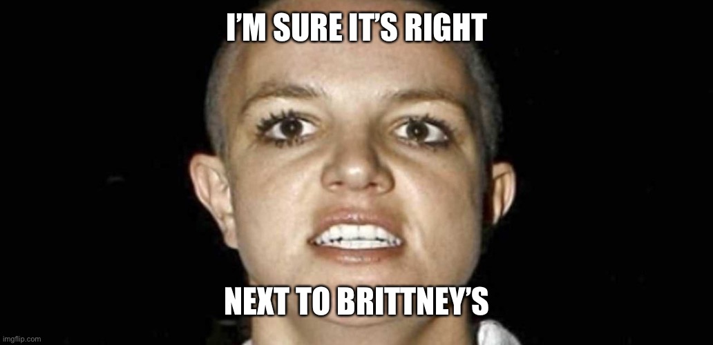 Brittney shaved head | I’M SURE IT’S RIGHT NEXT TO BRITTNEY’S | image tagged in brittney shaved head | made w/ Imgflip meme maker