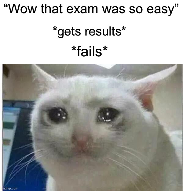 Happens to me all the time | “Wow that exam was so easy”; *gets results*; *fails* | image tagged in crying cat,memes,funny,true story,relatable memes,school | made w/ Imgflip meme maker