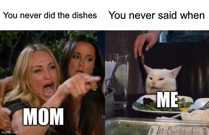 Woman Yelling At Cat | You never did the dishes; You never said when; ME; MOM | image tagged in memes,woman yelling at cat,cat,cool,kittycat | made w/ Imgflip meme maker