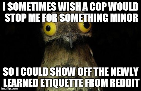 Weird Stuff I Do Potoo Meme | I SOMETIMES WISH A COP WOULD STOP ME
FOR SOMETHING MINOR SO I COULD SHOW OFF THE NEWLY LEARNED ETIQUETTE FROM REDDIT | image tagged in memes,weird stuff i do potoo,AdviceAnimals | made w/ Imgflip meme maker