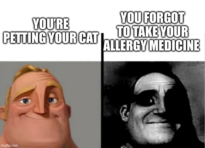 aughhh | YOU’RE PETTING YOUR CAT; YOU FORGOT TO TAKE YOUR ALLERGY MEDICINE | image tagged in teacher's copy | made w/ Imgflip meme maker