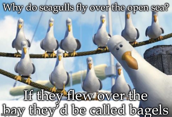 Seagull pun | Why do seagulls fly over the open sea? If they flew over the bay they’d be called bagels | image tagged in seagulls,sea,bay,bagels,dad joke,puns | made w/ Imgflip meme maker