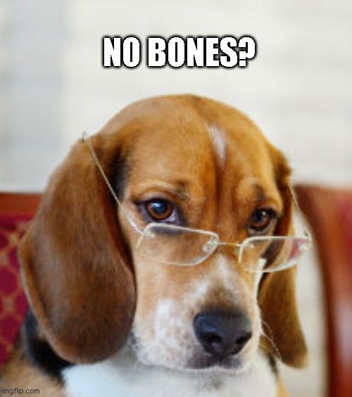 no bones? | NO BONES? | image tagged in nobitches | made w/ Imgflip meme maker