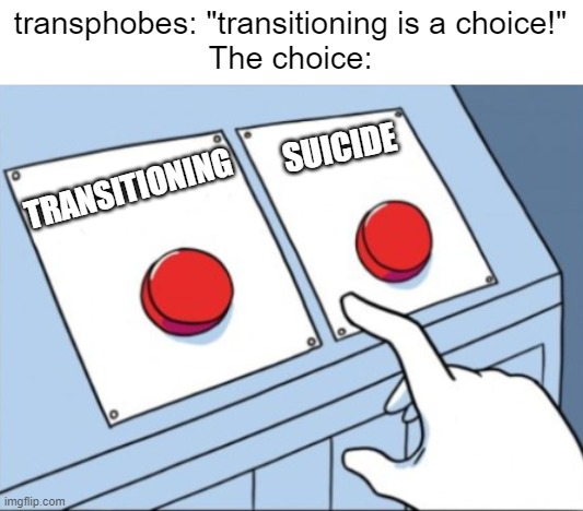 real | transphobes: "transitioning is a choice!"
The choice:; SUICIDE; TRANSITIONING | image tagged in transgender,transphobic,lgbtq | made w/ Imgflip meme maker