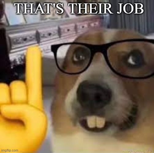 nerd dog | THAT'S THEIR JOB | image tagged in nerd dog | made w/ Imgflip meme maker
