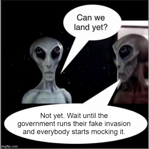 Timing is everything | Not yet. Wait until the government runs their fake invasion and everybody starts mocking it. | made w/ Imgflip meme maker