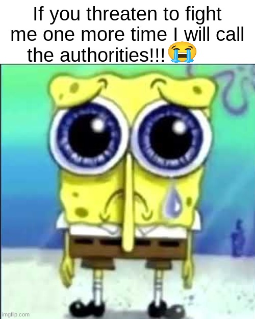 Sad Spongebob | If you threaten to fight me one more time I will call the authorities!!! | image tagged in sad spongebob | made w/ Imgflip meme maker