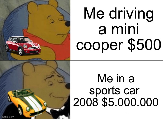 Tuxedo one is good real good | Me driving a mini cooper $500; Me in a sports car  2008 $5.000.000 | image tagged in memes,tuxedo winnie the pooh | made w/ Imgflip meme maker