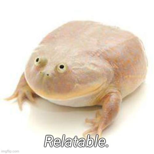 Wednesday Frog Blank | Relatable. | image tagged in wednesday frog blank | made w/ Imgflip meme maker