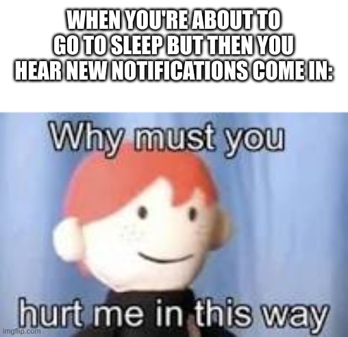 Why must you hurt me in this way | WHEN YOU'RE ABOUT TO GO TO SLEEP BUT THEN YOU HEAR NEW NOTIFICATIONS COME IN: | image tagged in why must you hurt me in this way | made w/ Imgflip meme maker