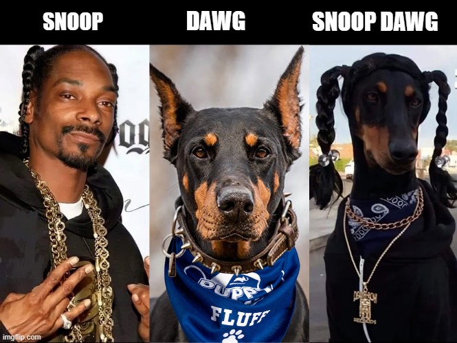 SNOOP DAWG; DAWG; SNOOP | made w/ Imgflip meme maker