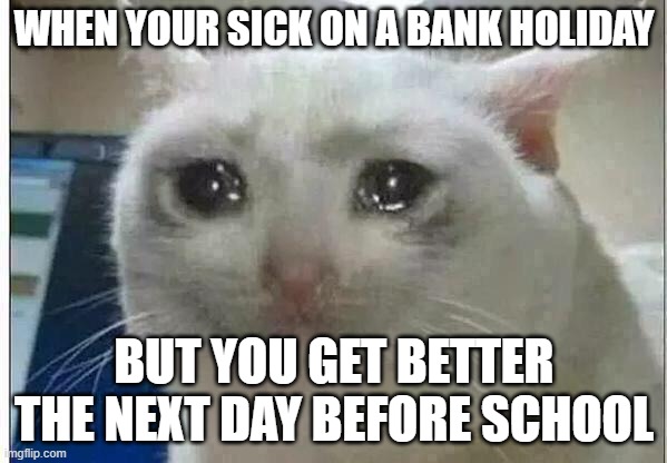 crying cat | WHEN YOUR SICK ON A BANK HOLIDAY; BUT YOU GET BETTER THE NEXT DAY BEFORE SCHOOL | image tagged in crying cat | made w/ Imgflip meme maker