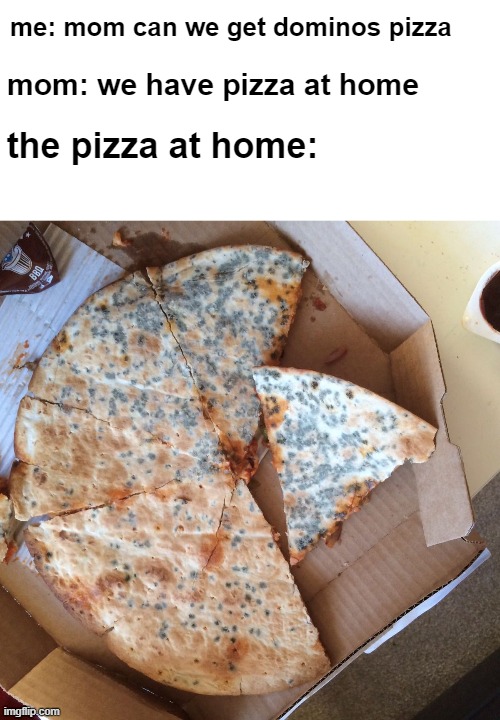mom can we get pizza? | mom: we have pizza at home; me: mom can we get dominos pizza; the pizza at home: | image tagged in blank white template,mouldy pizza,food at home | made w/ Imgflip meme maker