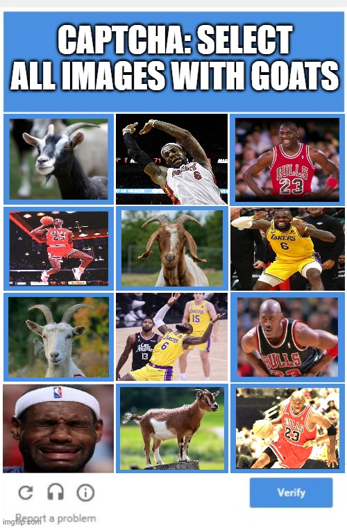 Goat Captcha | CAPTCHA: SELECT ALL IMAGES WITH GOATS | image tagged in blank google captcha | made w/ Imgflip meme maker