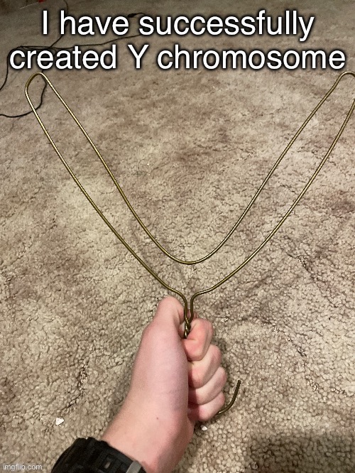 image tagged in if you read these tags i will send you to hell | made w/ Imgflip meme maker