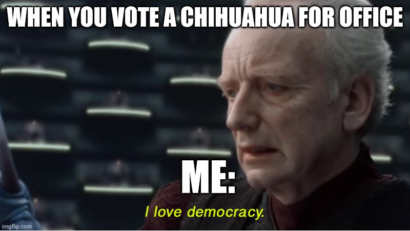 A Chihuahua is now our commander and chief | WHEN YOU VOTE A CHIHUAHUA FOR OFFICE; ME: | image tagged in i love democracy | made w/ Imgflip meme maker
