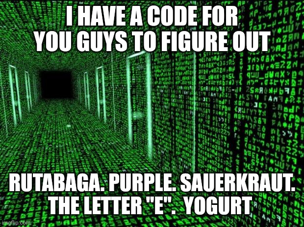 Big brain time | I HAVE A CODE FOR YOU GUYS TO FIGURE OUT; RUTABAGA. PURPLE. SAUERKRAUT. THE LETTER "E".  YOGURT | image tagged in matrix hallway code | made w/ Imgflip meme maker